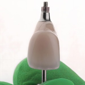 endosteal dental implant